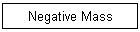 Negative Mass